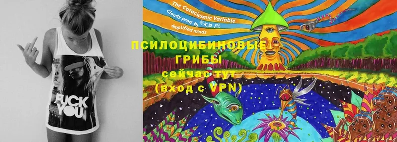 где продают наркотики  Унеча  Галлюциногенные грибы MAGIC MUSHROOMS 